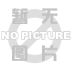 九龙坡带您一起窥破网站快...